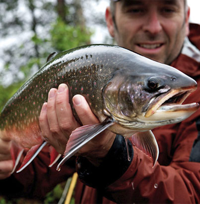 Viajes de pesca Suecia